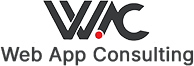Web App Consulting